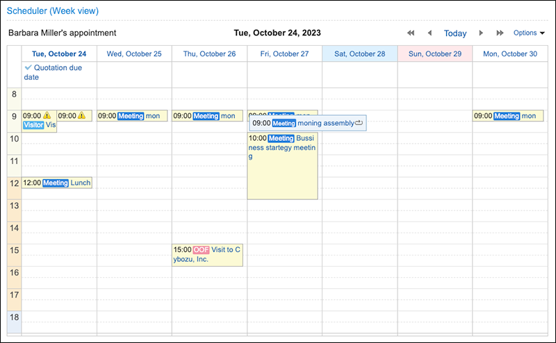 Screenshot: The "Scheduler (Week view)" portlet screen