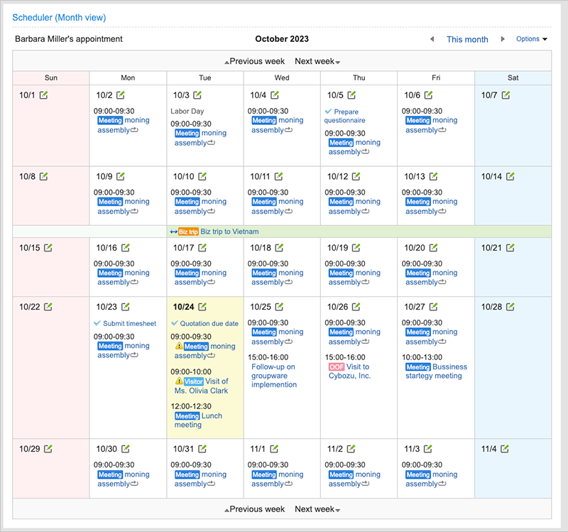 Screenshot: The "Scheduler (Month view)" portlet screen