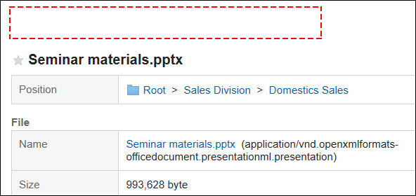 Screen capture: A link to update files is not displayed on the File details screen