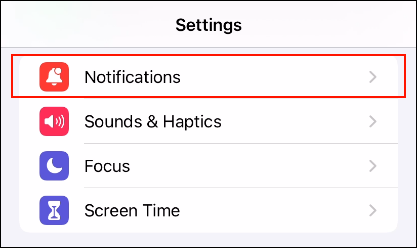 Screenshot: iOS settings screen
