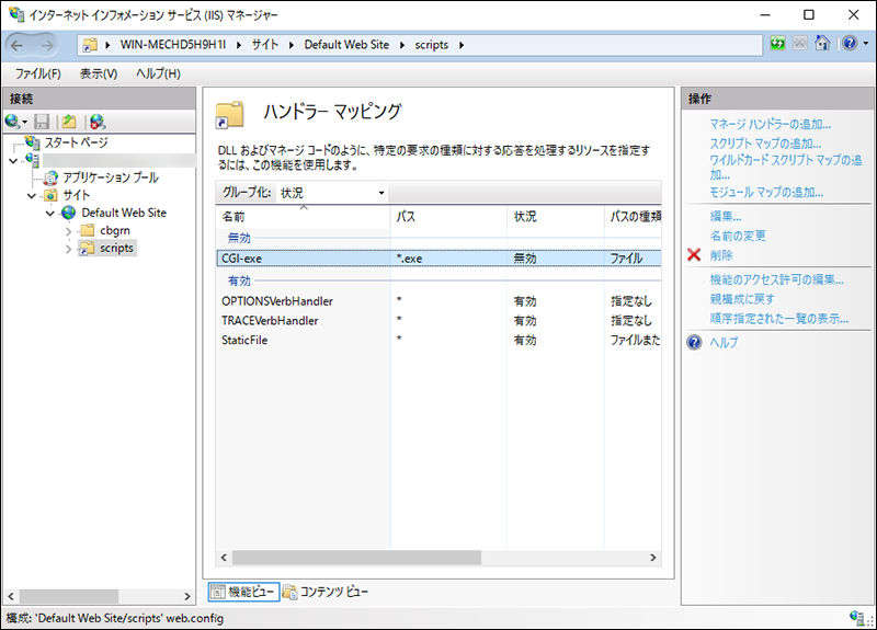 Screen capture: Screen of the handler mapping in Internet Information Services Manager