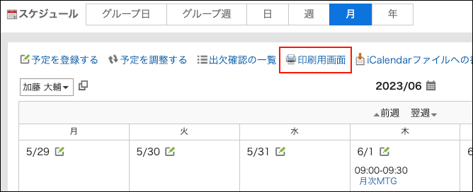 Screenshot:The "Printable version" link is highlighted in the Month view