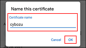 Image of dialog to specify a name of the certificate
