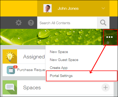 Screenshot: The "Options" icon at the upper right of Portal and "Portal Settings" are outlined in red