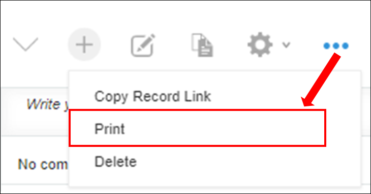 Screenshot: "Print" is outlined in red