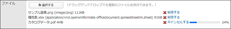 画面キャプチャー：添付の中止やファイルを削除する操作リンクが表示されている