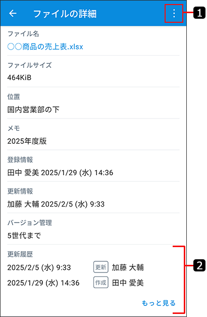 スクリーンショット：ファイルの詳細画面のイメージ